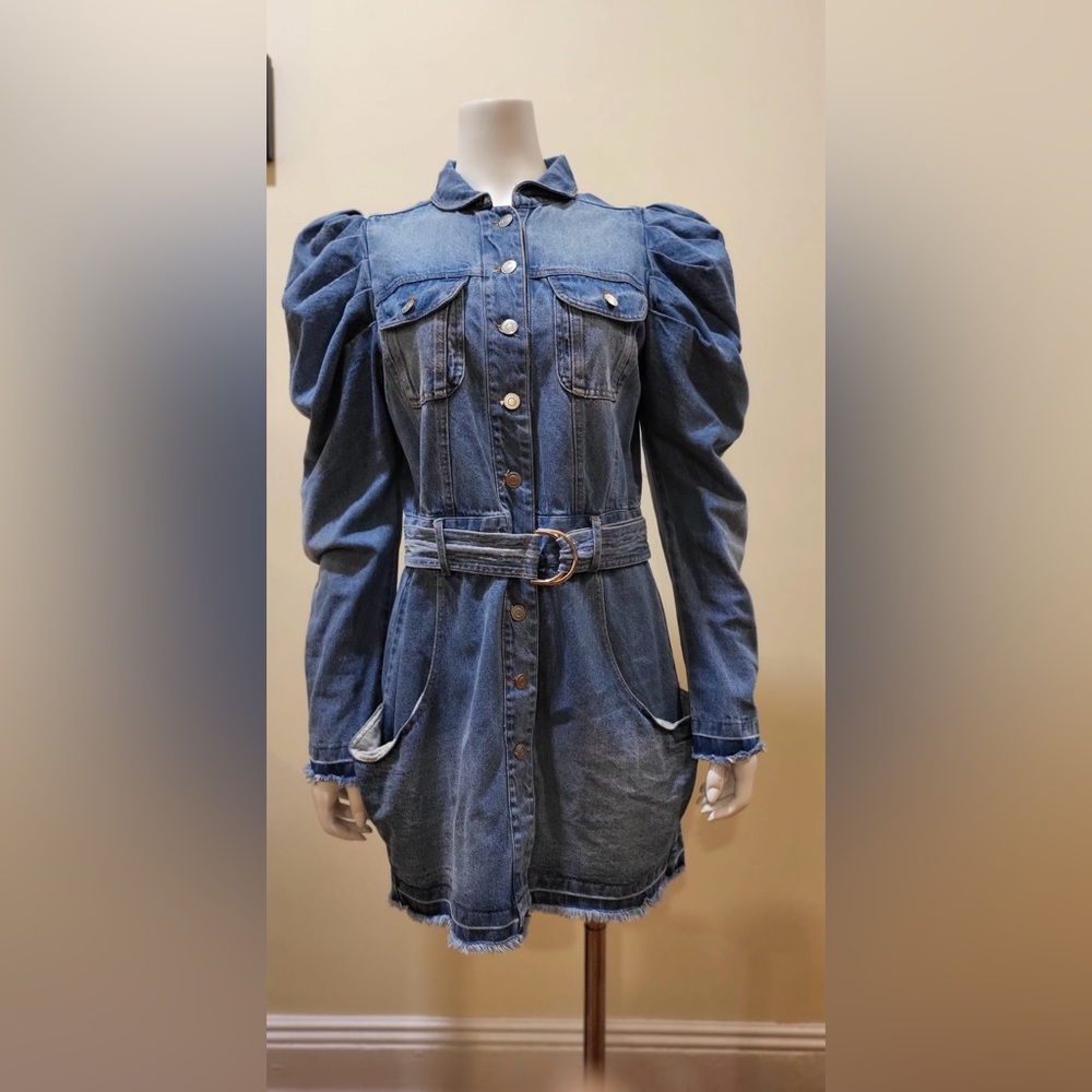 Denim Belted Dress